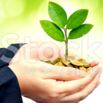 Coins in the palm of hands with a plant growing from it