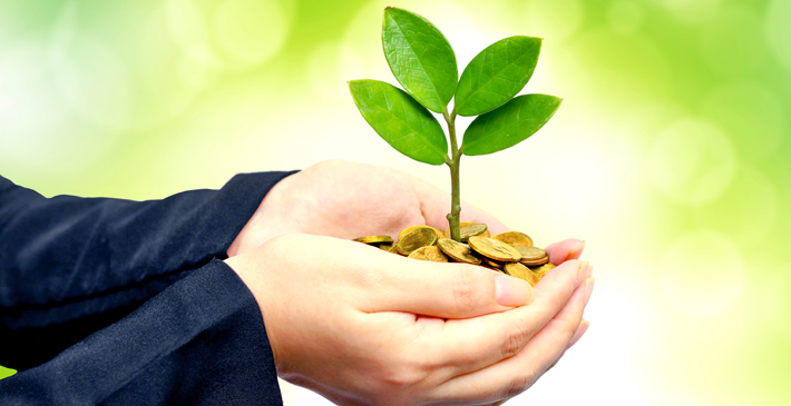 Coins in the palm of hands with a plant growing from it
