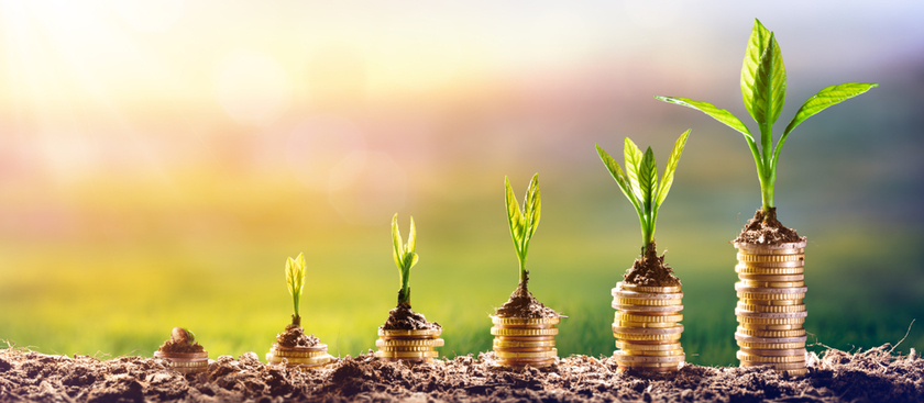Coin stacks increasing and growing plants