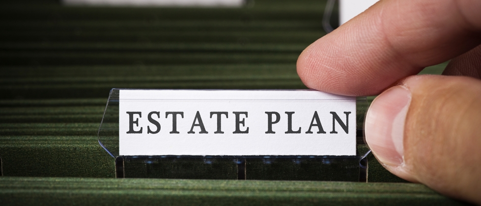 Estate Plan