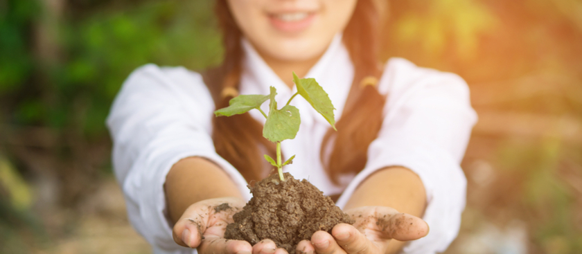 Women holding a plant in hands