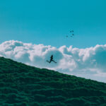 A man running down a green hill with clouds behind him and a flock of birds.